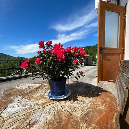 B&B Casa Svetlana Taipana エクステリア 写真
